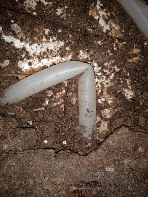 西华堵点精准查找